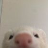 jiamia_0